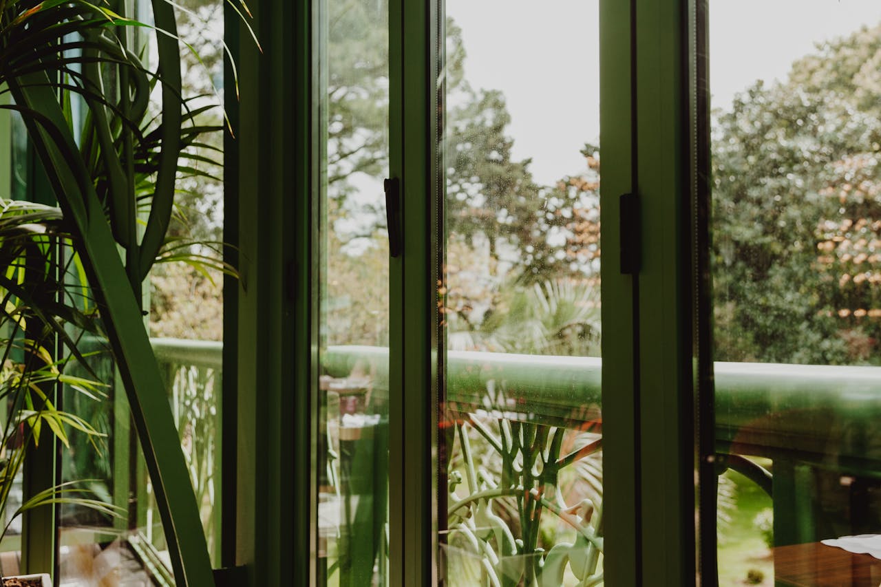 Sunlight streams through glass pane windows revealing verdant indoor plants.